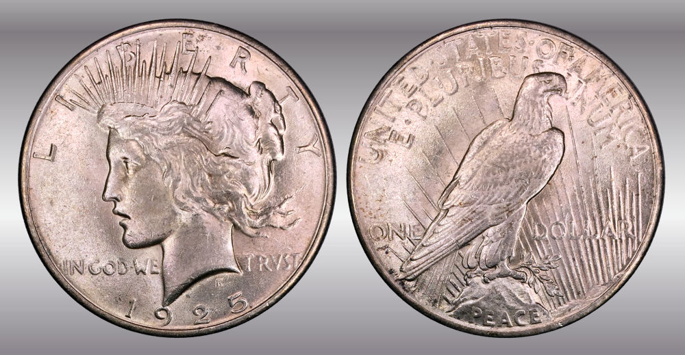 My-Raw-Peace-Dollar-Collection.-.-.-.-Warning!